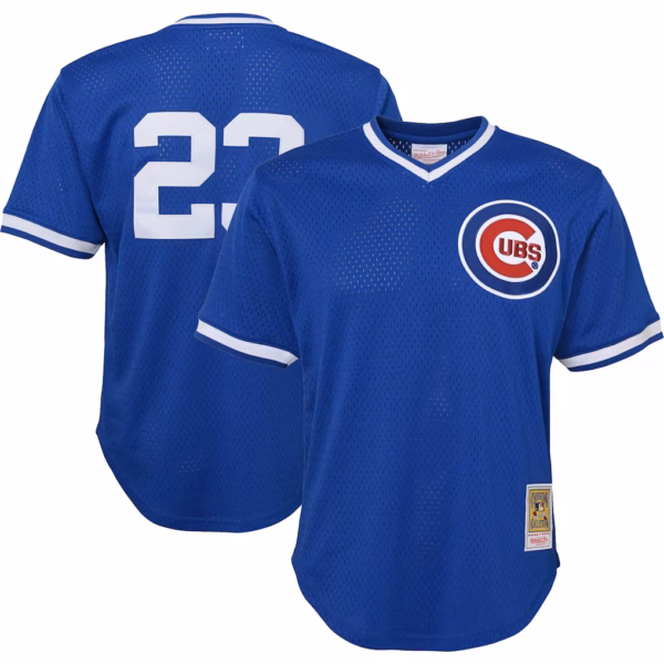 Ryne Sandberg Chicago Cubs Mitchell & Ness Youth Cooperstown Collection Mesh Batting Practice Jersey - Royal
